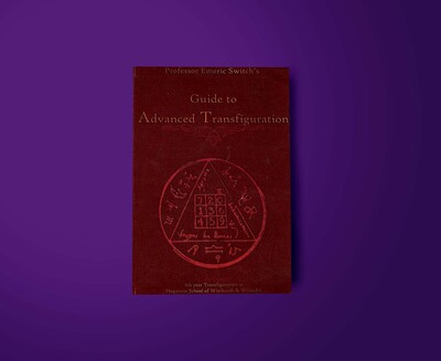 advanced transfiguration,harry potter,hogwarts,notebook