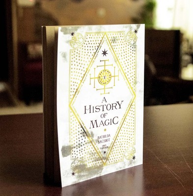 history of magic,bathilda bagshot,harry potter,notebook